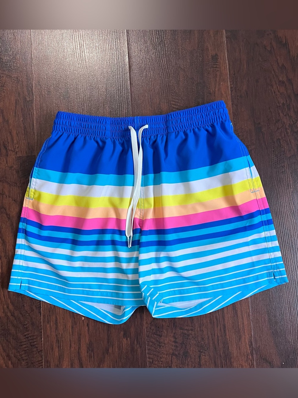 Chubbies The Newports 5.5" Swim Trunks Blue Multi Stripe Men's Medium